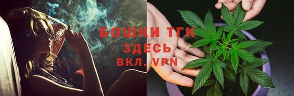 гашик Верея