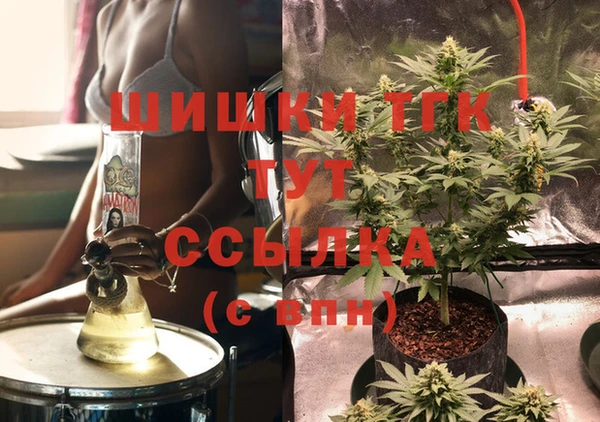 гашик Верея