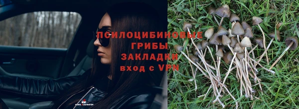 гашик Верея