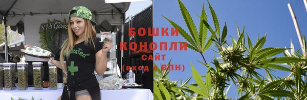 гашик Верея